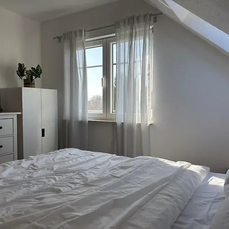 Ferienidyll Bartling Haus Vineta Wg 8 Im Alten Ortskern, Modern, Gemuetlich Appartamento Zempin